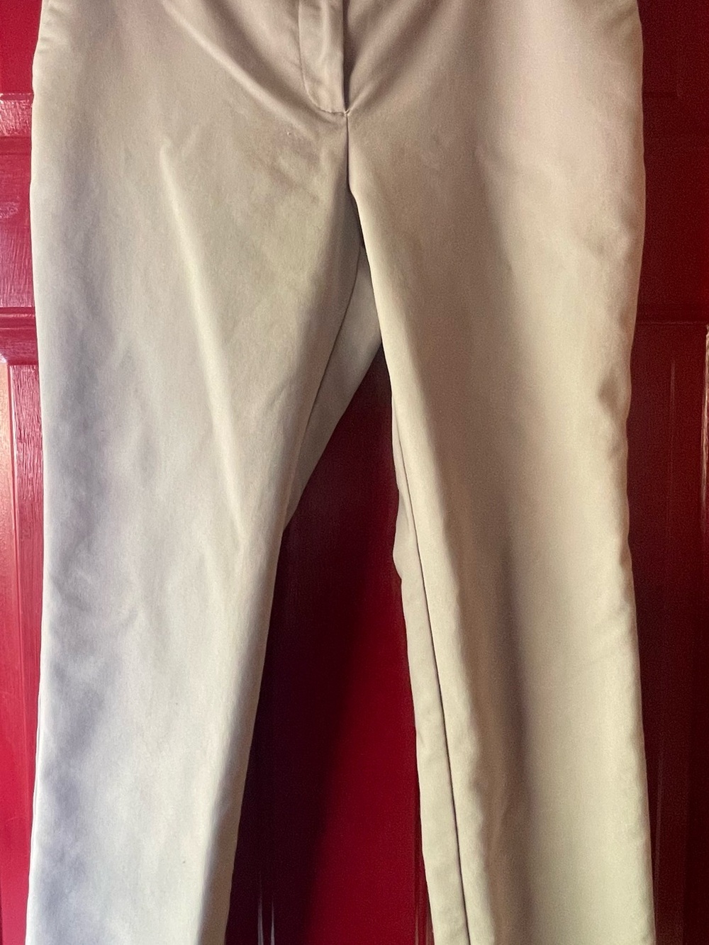 Ann Taylor Neutral Beige Slim Trousers